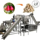 Dây chuyền chế biến thiết bị nhà máy sản xuất bao bì đóng gói sấy hạt điều - Máy rang - foodmachtech