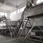 Clasificación automática de almendras industriales Cracking Crushing Peeling Clasificación Tostado Máquina de descascarado Procesamiento Línea de producción - Máquina de asar - foodmachtech