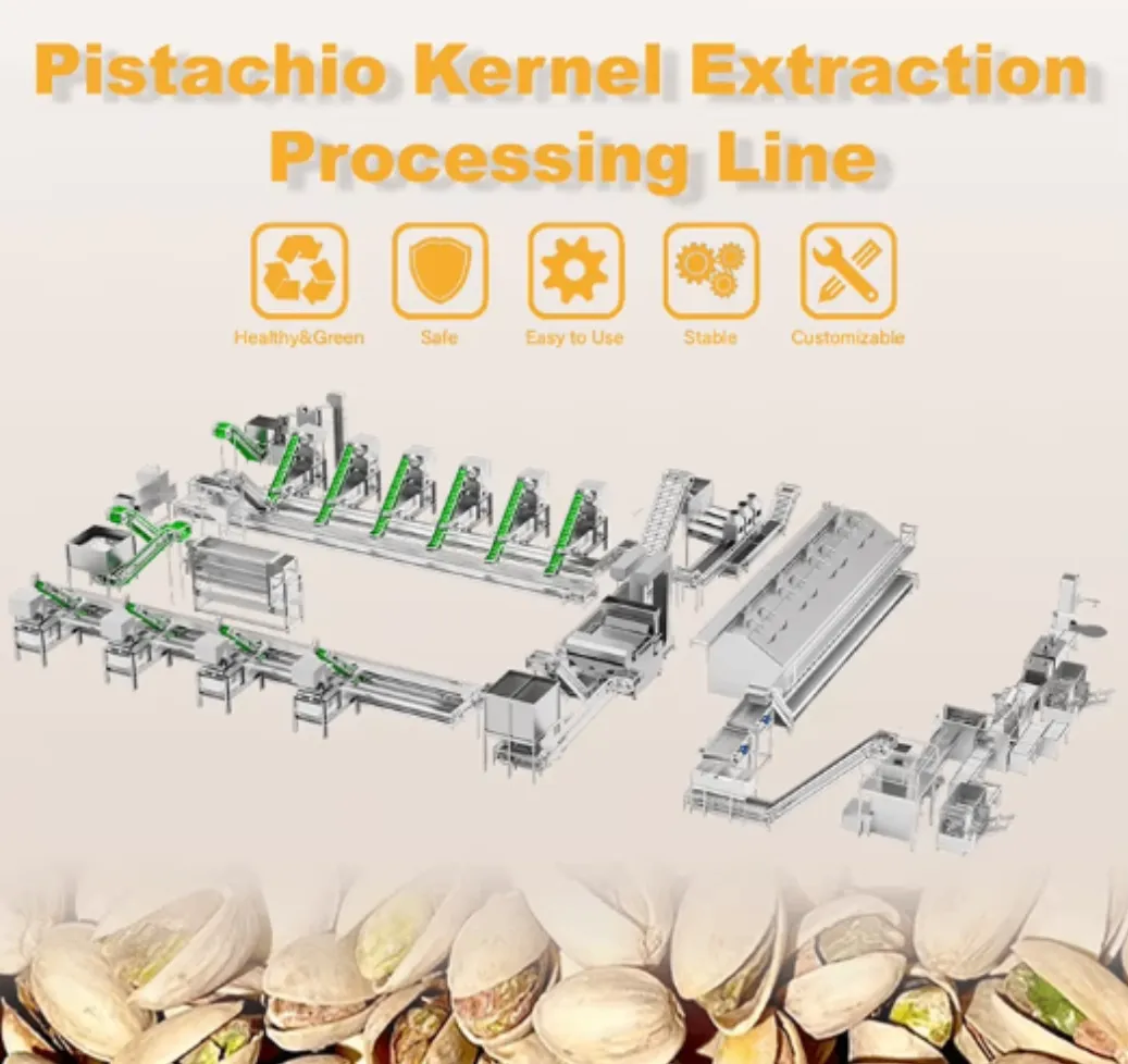 Línea de producción de tostado de pistacho de alta velocidad de grado Línea de producción de semillas tostadas de nueces - Máquina de asar - foodmachtech