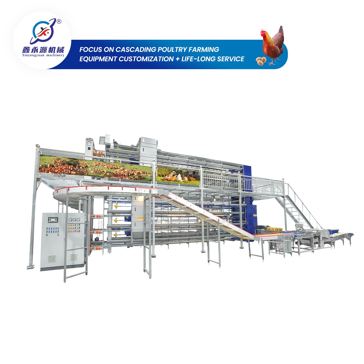 Customizable-Automated egg-laying hen farming system 6 layers