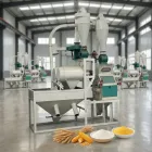 Fraiseuse industrielle d'usine de moulin à farine de maïs pour le Nigéria et le Ghana-multifonctionnel avec de diverses options de sortie - Moulin à broyer - foodmachtech