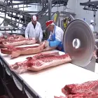 Nueva línea de sacrificio de cerdos para equipos de matadero de cerdos con Hog Soar Band Saw - Línea de producción de sacrificio de cerdos - foodmachtech