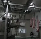 Línea automática de sacrificio de cerda | Equipo de procesamiento de cerdos para matadero - Línea de producción de sacrificio de cerdos - foodmachtech