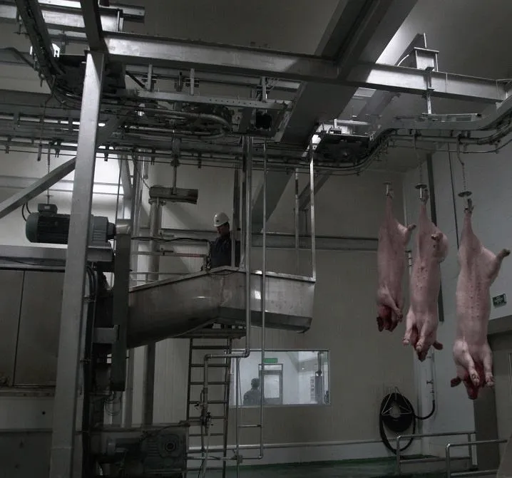Línea automática de sacrificio de cerda | Equipo de procesamiento de cerdos para matadero - Línea de producción de sacrificio de cerdos - foodmachtech