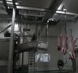 자동 소 도살 라인 | 도축장을위한 돼지 가공 장비 - 돼지 도살 생산 라인 - foodmachtech