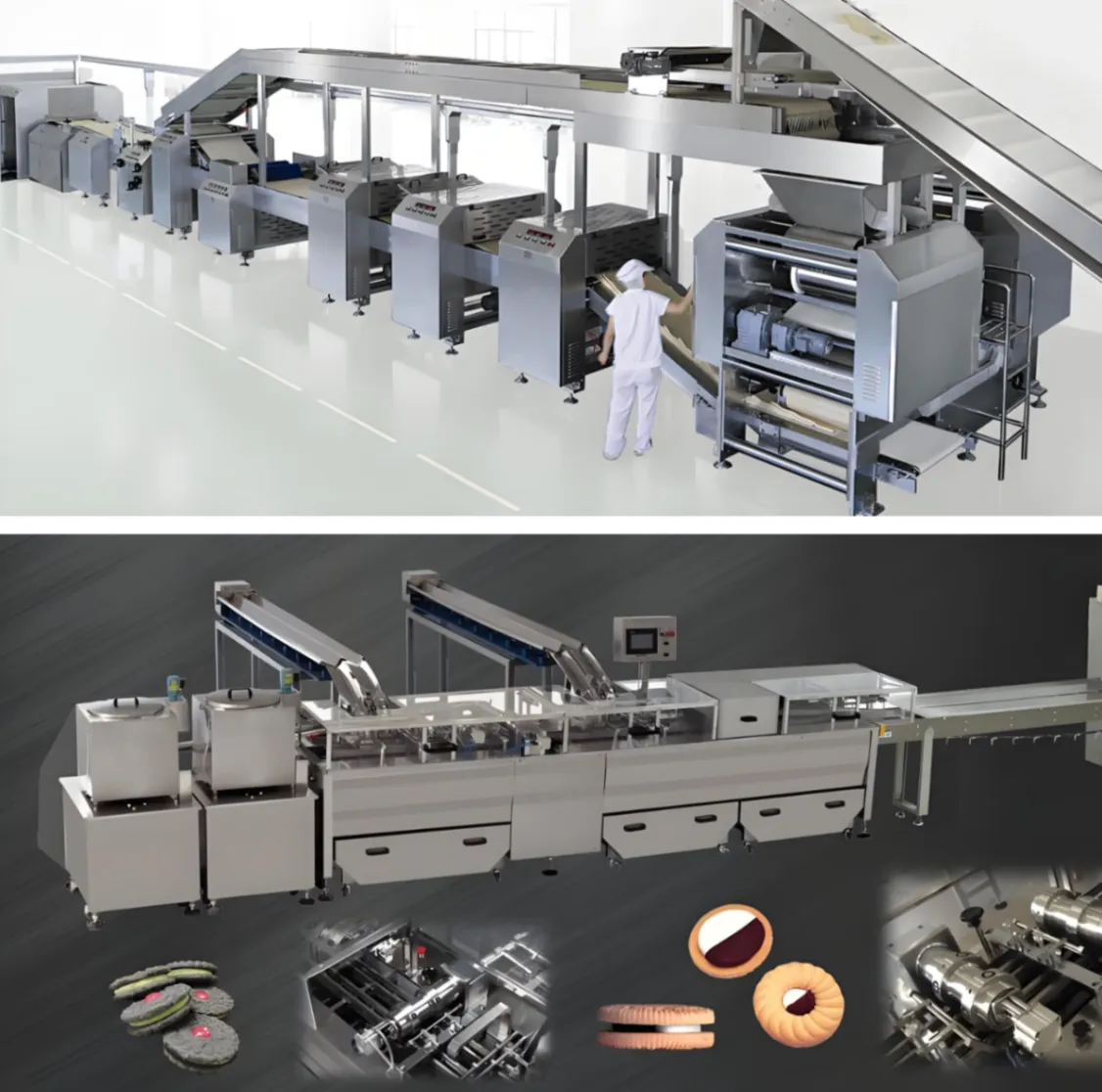 Factory best Biscuit Production Line with Biscuit Making Machine Cookie Making Machine - Biscuit Stamping Machine - foodmachtech