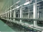 Transportador de sangrado de cerdo para matadero grande asequible - Transportador de arriba del cerdo - foodmachtech