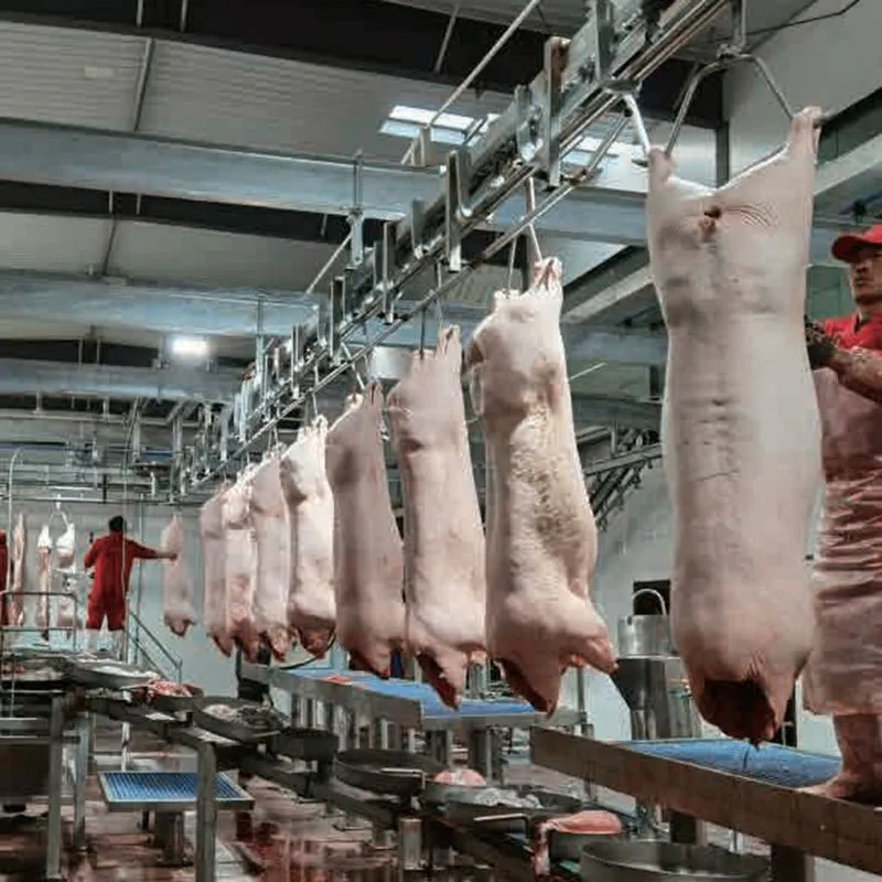 Línea completa moderna de la matanza para la máquina automática de la matanza del cerdo del ganado con el motor y el transporte de los componentes de la base - Línea de producción de sacrificio de cerdos - foodmachtech