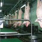 Línea completa moderna de la matanza para la máquina automática de la matanza del cerdo del ganado con el motor y el transporte de los componentes de la base - Línea de producción de sacrificio de cerdos - foodmachtech