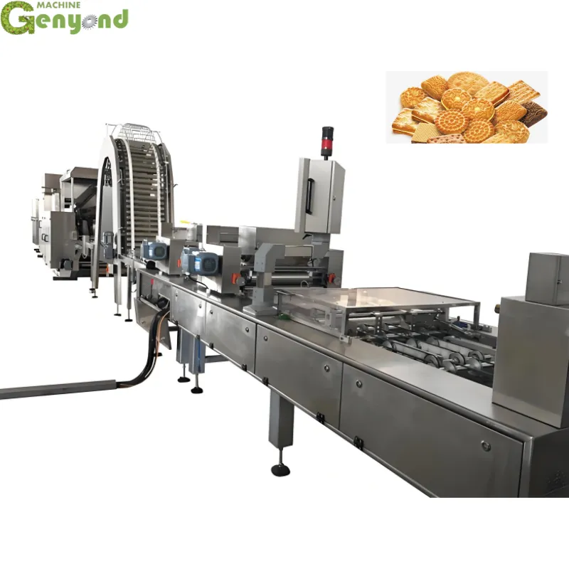 Bakery Equipment Soft Hard Soda Cracker Biscuit Cookie Production Line - Biscuit Stamping Machine - foodmachtech