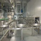 Línea automática equipo de proceso del sacrificio de la cerda del cerdo para el matadero - Línea de producción de sacrificio de cerdos - foodmachtech