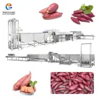 Vegetable Washing Equipment Pumpkin Peeper Leavy Greens Sorting Washing Sterilizing Machine - Weight Sorting Machine - foodmachtech