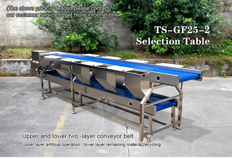 Automatic Vegetable & Fruit Sorting Machine Selection Table TS-GF25A