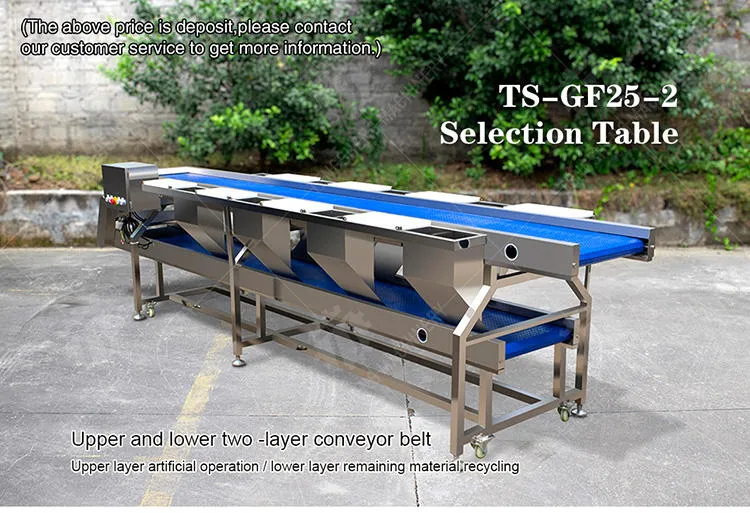 自動野菜 & 果物仕分け機セレクションテーブルTS-GF25A - 重量選別機 - foodmachtech