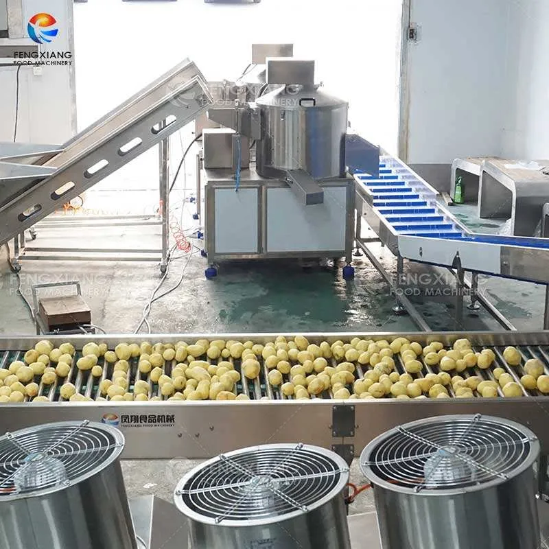 Citrouille Peeper Leavy Verts tri lavage de la machine de stérilisation de l'équipement de lavage de légumes - Machine de tri par poids - foodmachtech