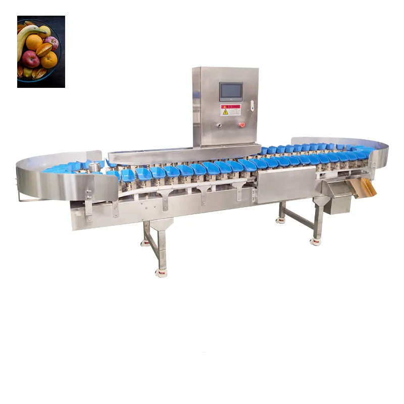 Caliente-venta de frutas y verduras totalmente automática máquina de clasificación asequible y fácil de operar - Máquina clasificadora por peso - foodmachtech