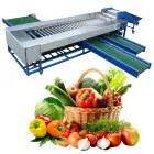 マンゴーグレーディング機ステンレス鋼果物野菜仕分け機 - 重量選別機 - foodmachtech