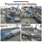 Vegetable Washing Equipment Pumpkin Peeper Leavy Greens Sorting Washing Sterilizing Machine - Weight Sorting Machine - foodmachtech