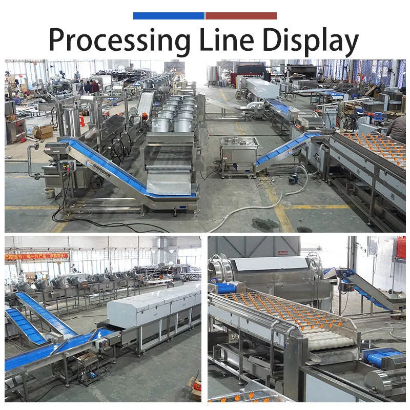Vegetable Washing Equipment Pumpkin Peeper Leavy Greens Sorting Washing Sterilizing Machine - Weight Sorting Machine - foodmachtech