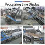 Vegetable Washing Equipment Pumpkin Peeper Leavy Greens Sorting Washing Sterilizing Machine - Weight Sorting Machine - foodmachtech