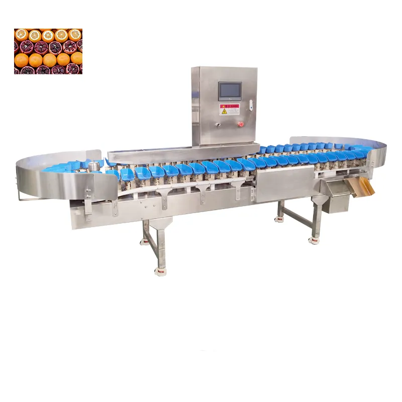 Caliente-venta de la máquina de clasificación completamente automática de la fruta en un precio asequible - Máquina clasificadora por peso - foodmachtech