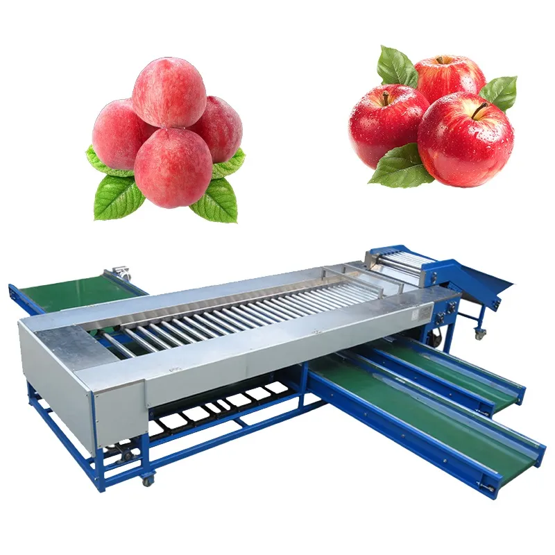 自動4kwステンレス鋼アップルフルーツ野菜仕分け機マンゴーグレーディングマシン - 重量選別機 - foodmachtech