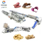 Vegetable Washing Equipment Pumpkin Peeper Leavy Greens Sorting Washing Sterilizing Machine - Weight Sorting Machine - foodmachtech