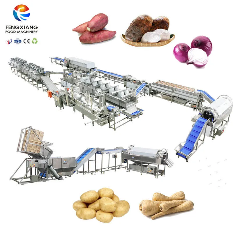 Vegetable Washing Equipment Pumpkin Peeper Leavy Greens Sorting Washing Sterilizing Machine - Weight Sorting Machine - foodmachtech