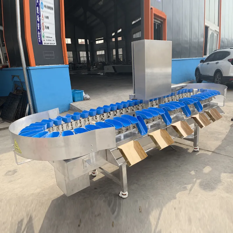 Caliente-venta de la máquina de clasificación completamente automática de la fruta en un precio asequible - Máquina clasificadora por peso - foodmachtech