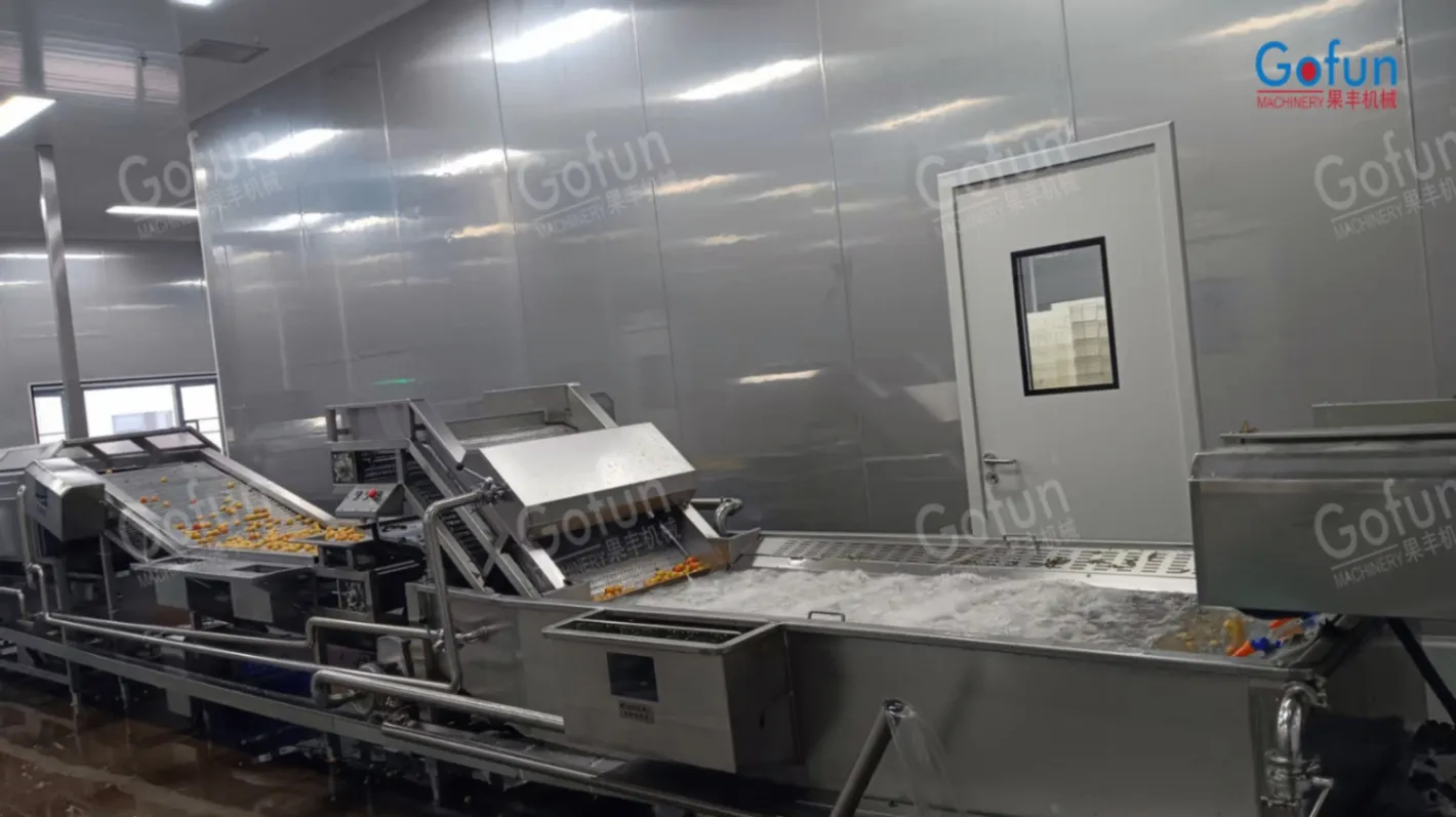آلة فرز الخضروات والفواكه والتفاح والبرتقال ، آلة تصنيف المانجو - ماكينة فرز الوزن - foodmachtech
