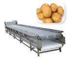 Machine de tri d'oignon d'ail de machine de classement de pomme Trieuse de fruits et légumes de roulement - Machine de tri par poids - foodmachtech