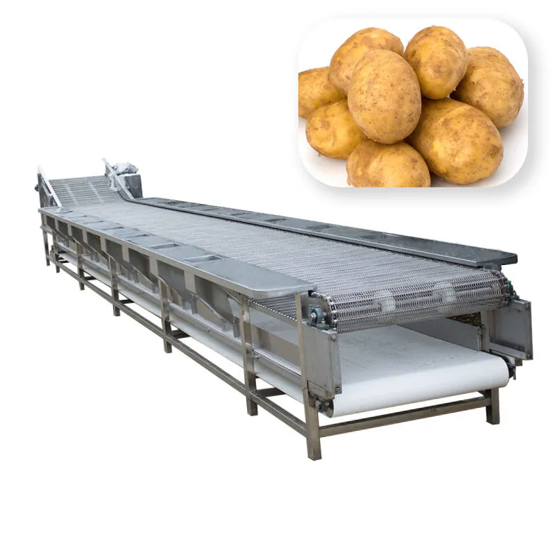 Machine de tri d'oignon d'ail de machine de classement de pomme Trieuse de fruits et légumes de roulement - Machine de tri par poids - foodmachtech