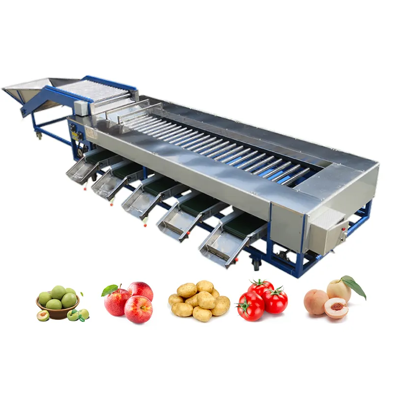 آلة فرز الخضروات والفواكه والتفاح والبرتقال ، آلة تصنيف المانجو - ماكينة فرز الوزن - foodmachtech