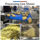 Vegetable Washing Equipment Pumpkin Peeper Leavy Greens Sorting Washing Sterilizing Machine - Weight Sorting Machine - foodmachtech