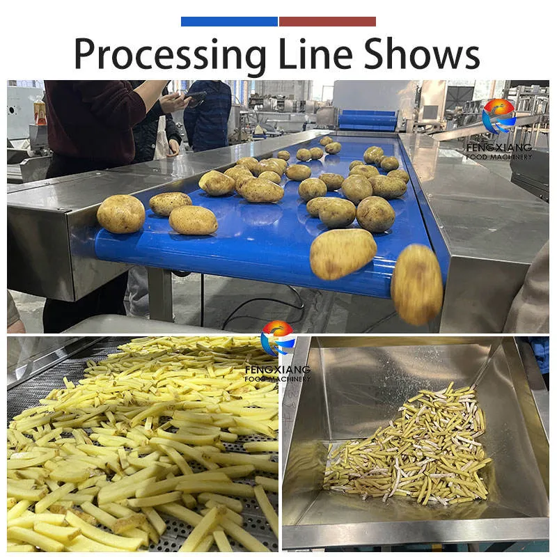 Vegetable Washing Equipment Pumpkin Peeper Leavy Greens Sorting Washing Sterilizing Machine - Weight Sorting Machine - foodmachtech