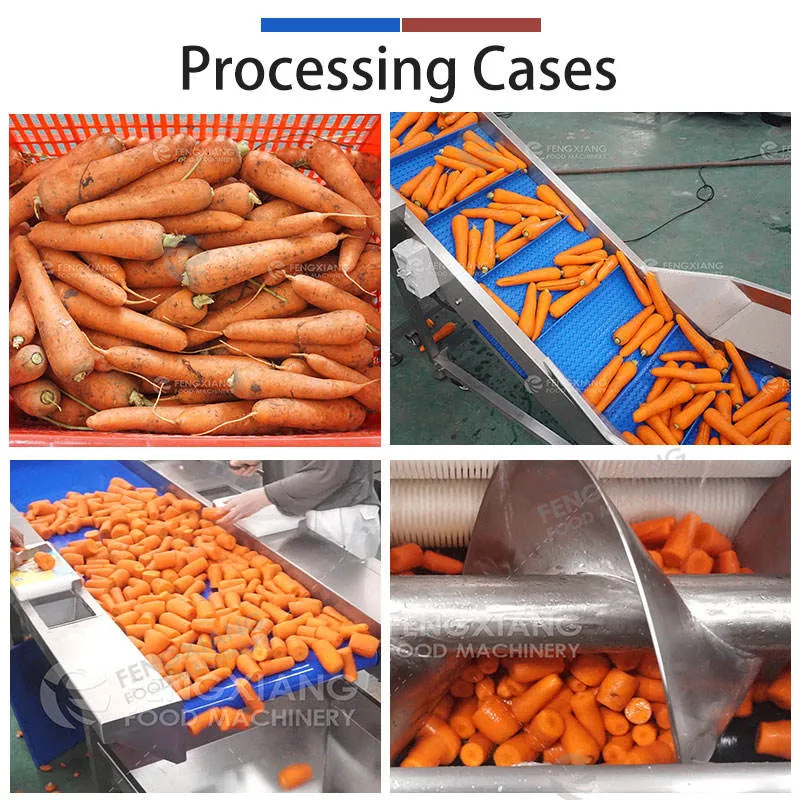 Vegetable Washing Equipment Pumpkin Peeper Leavy Greens Sorting Washing Sterilizing Machine - Weight Sorting Machine - foodmachtech