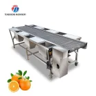 Vegetable & Fruit Processing Machinery Salad Vegetable Production Line Processing Machine Transmission Affordable - Weight Sorting Machine - foodmachtech