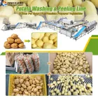 Vegetable Washing Equipment Pumpkin Peeper Leavy Greens Sorting Washing Sterilizing Machine - Weight Sorting Machine - foodmachtech