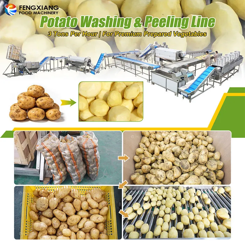 Vegetable Washing Equipment Pumpkin Peeper Leavy Greens Sorting Washing Sterilizing Machine - Weight Sorting Machine - foodmachtech