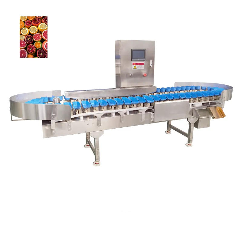 La máquina de clasificación de frutas de venta caliente es asequible - Máquina clasificadora por peso - foodmachtech