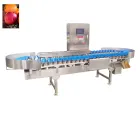 Caliente-venta de la fruta completamente automática y clasificadora vegetal en un precio asequible - Máquina clasificadora por peso - foodmachtech