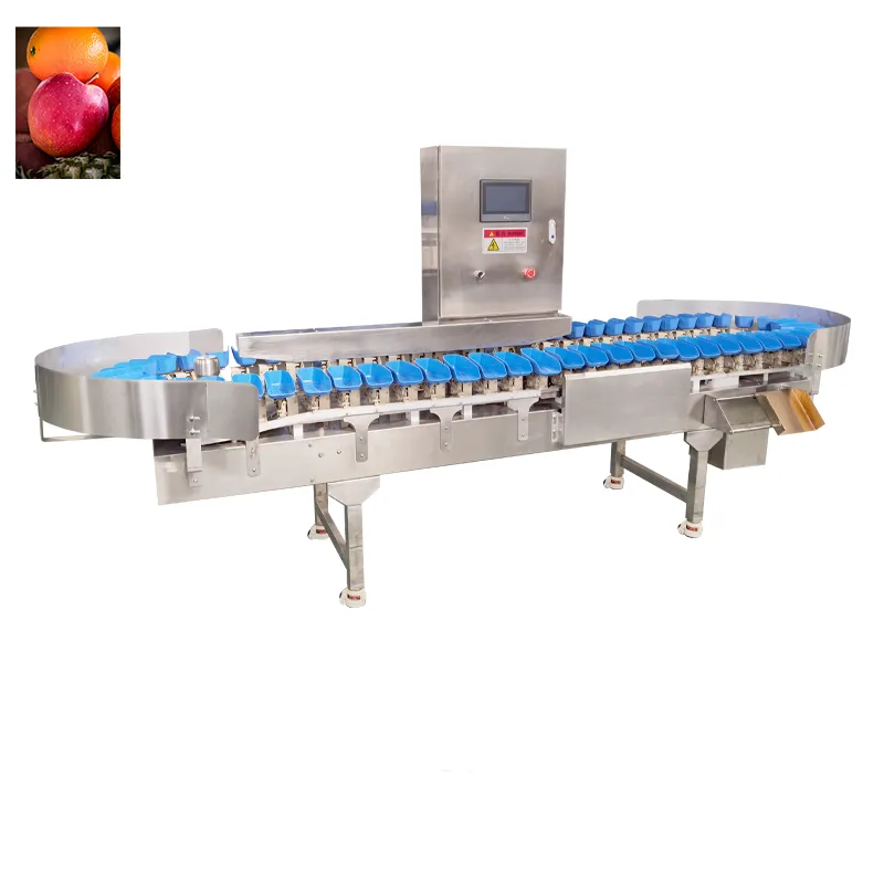 Caliente-venta de la fruta completamente automática y clasificadora vegetal en un precio asequible - Máquina clasificadora por peso - foodmachtech