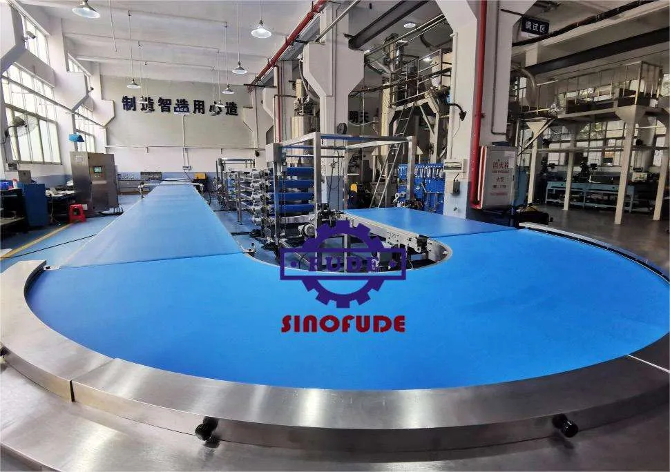 Máquina de fabricación de galletas máquina de galletas de chispas de chocolate máquina de galletas de fortuna - Extrusora de galletas - foodmachtech