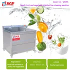 Máquina de limpieza de burbujas de alimentos IKE para lavar el apio, la berenjena, las verduras y las frutas - Máquina de limpieza - foodmachtech