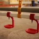 Tubo cuadrado automático 22cm * 22cm bebedores de pezones para pollos de engorde - Bebedor del pezón - foodmachtech