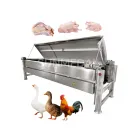 Máquina de desplumagem horizontal de cama plana para linhas de processamento de frango, pato e ganso. - Máquina defeathering aves - foodmachtech