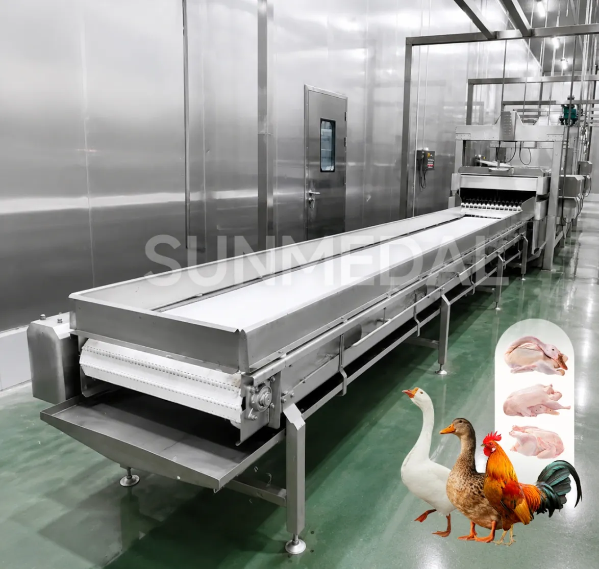 Máquina de desplumagem horizontal de cama plana para linhas de processamento de frango, pato e ganso. - Máquina defeathering aves - foodmachtech