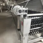 Máquina de desplumagem horizontal de cama plana para linhas de processamento de frango, pato e ganso. - Máquina defeathering aves - foodmachtech