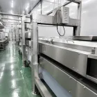 Máquina de desplumagem horizontal de cama plana para linhas de processamento de frango, pato e ganso. - Máquina defeathering aves - foodmachtech
