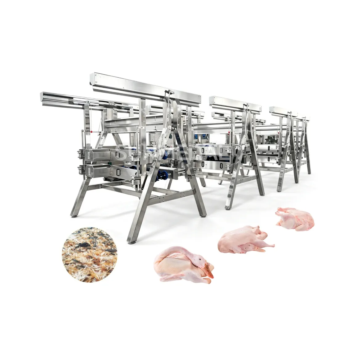 Máquina automática Vertical Poultry De-feathering - Máquina defeathering aves - foodmachtech
